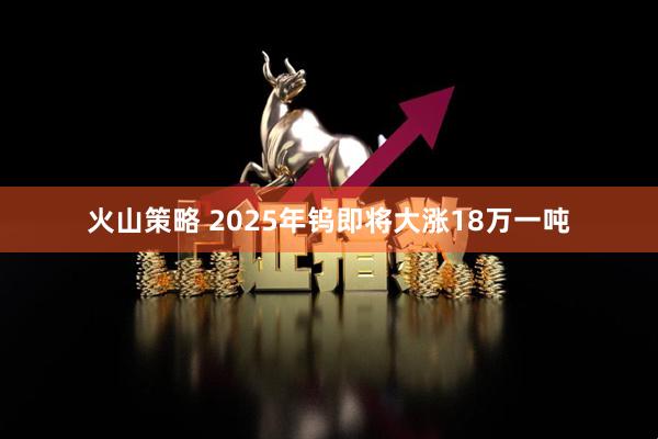火山策略 2025年钨即将大涨18万一吨