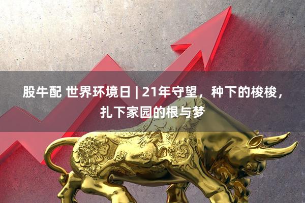 股牛配 世界环境日 | 21年守望，种下的梭梭，扎下家园的根与梦
