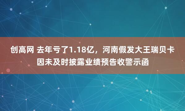 创高网 去年亏了1.18亿，河南假发大王瑞贝卡因未及时披露业绩预告收警示函