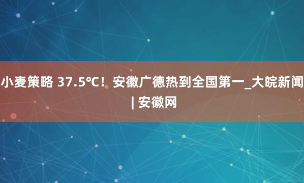 小麦策略 37.5℃！安徽广德热到全国第一_大皖新闻 | 安徽网
