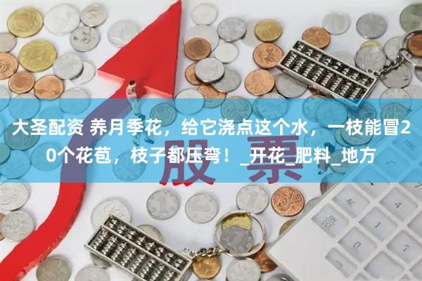 大圣配资 养月季花，给它浇点这个水，一枝能冒20个花苞，枝子都压弯！_开花_肥料_地方