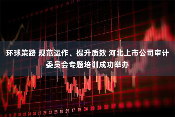 环球策路 规范运作、提升质效 河北上市公司审计委员会专题培训成功举办