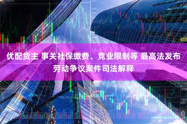优配货主 事关社保缴费、竞业限制等 最高法发布劳动争议案件司法解释
