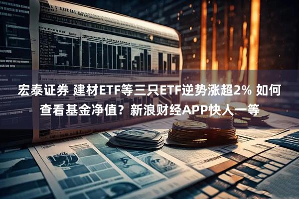 宏泰证券 建材ETF等三只ETF逆势涨超2% 如何查看基金净值？新浪财经APP快人一等