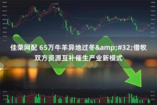 佳荣网配 65万牛羊异地过冬 借牧双方资源互补催生产业新模式